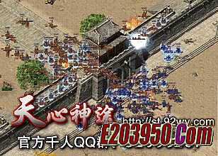 紫1.76