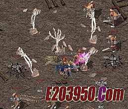 新迷失星座传奇版本