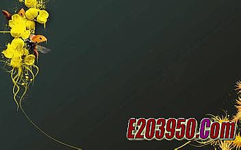 新开网通传奇1.95