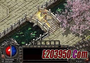 ������Ϸ��