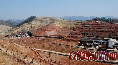 1.76不老山复古金币