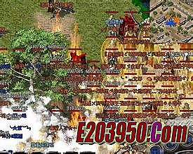 ������̬�ϻ�������վ