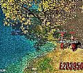���Ĵ����,ֻ���л��ħ������������